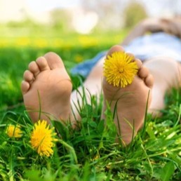 Pieds nus allongés dans l'herbe verte avec des fleurs jaunes devant